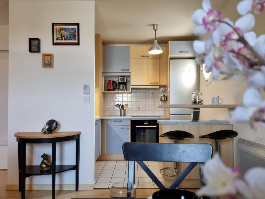 Appartement Cosy Centre Brie Comte Robert Exteriér fotografie
